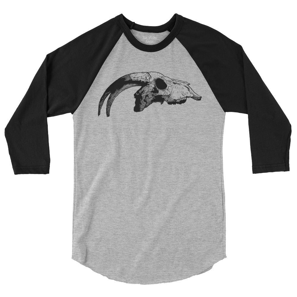 Horned Skull Raglan