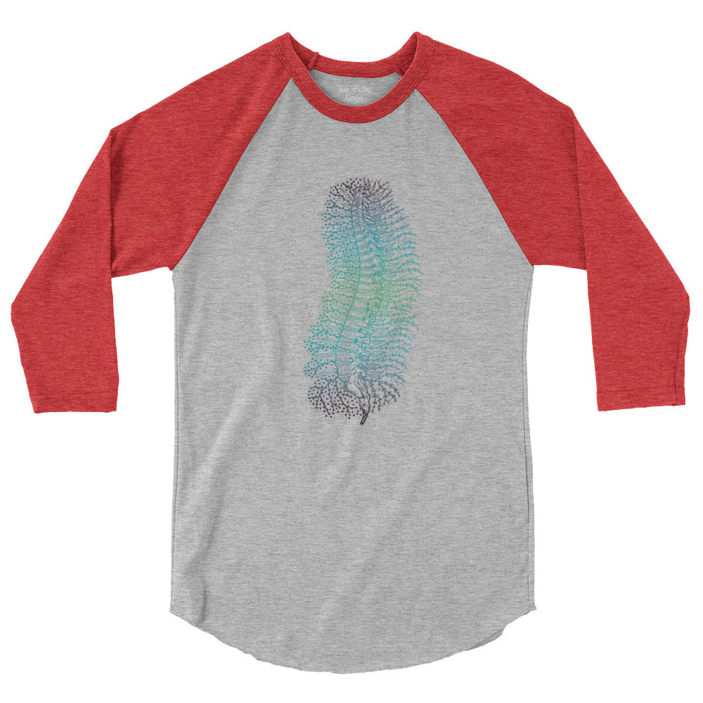 Human Spine Raglan