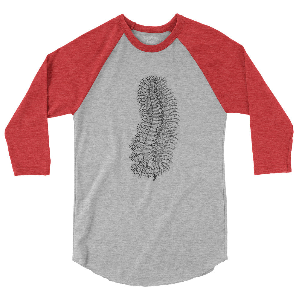 Human Spine Raglan