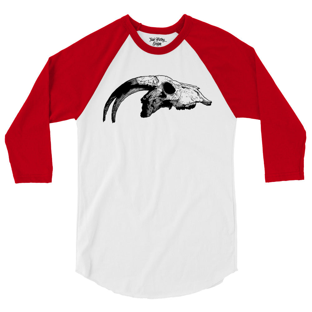 Horned Skull Raglan